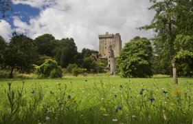 Blarney Castle Blarney Castle